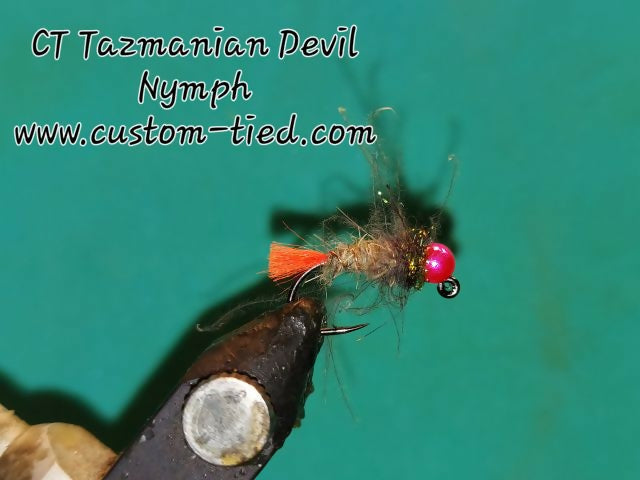 CT Tazmanian Devil Nymph