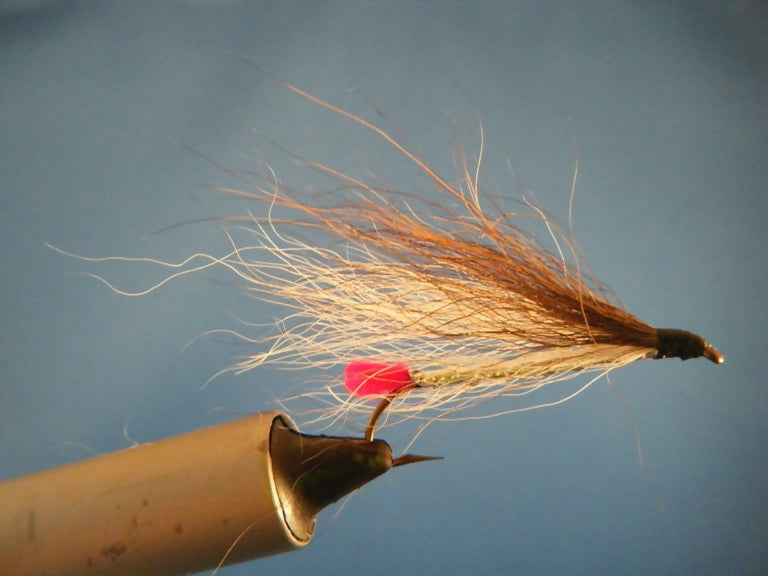 Black Nosed Dace Size 6s-10s