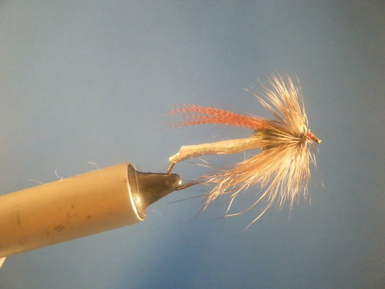 Improved Barn Owl Size 6s-10s