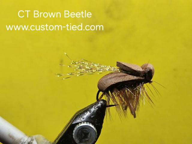 CT Brown Beetle Size 8
