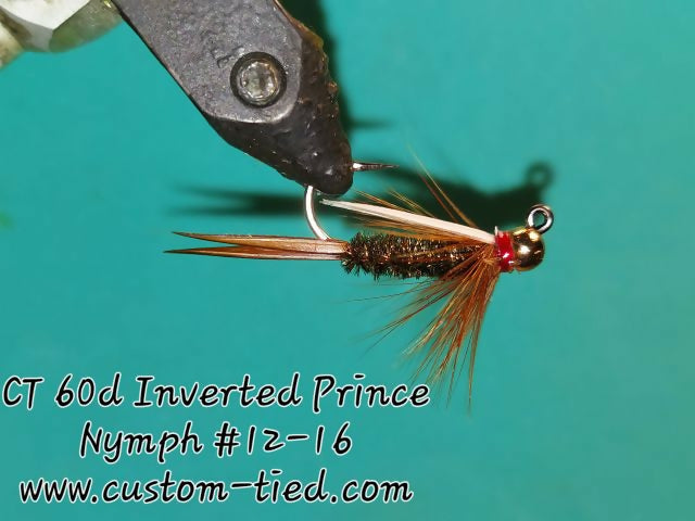 CT 60d Inverted Prince Nymph