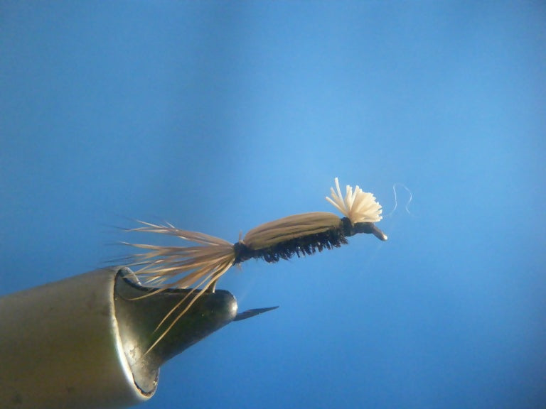 Cooper Bug