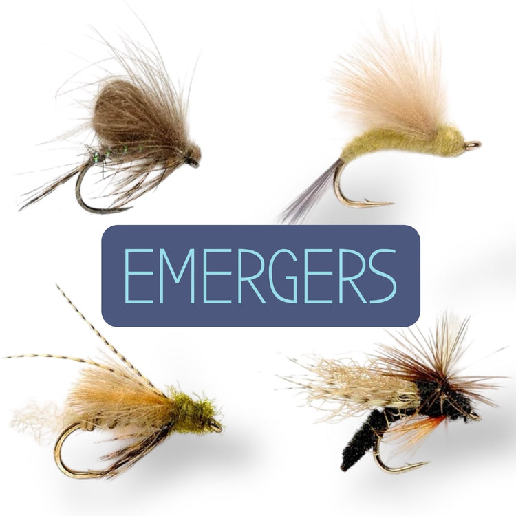 Emergers