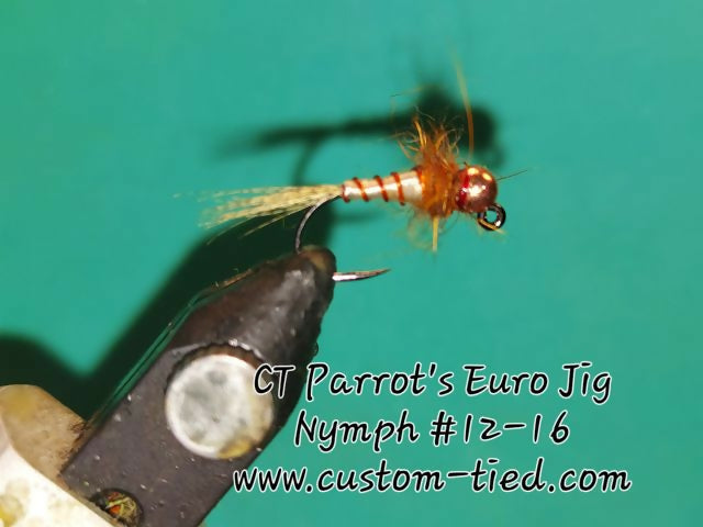 CT Parrot Euro Jig Nymph