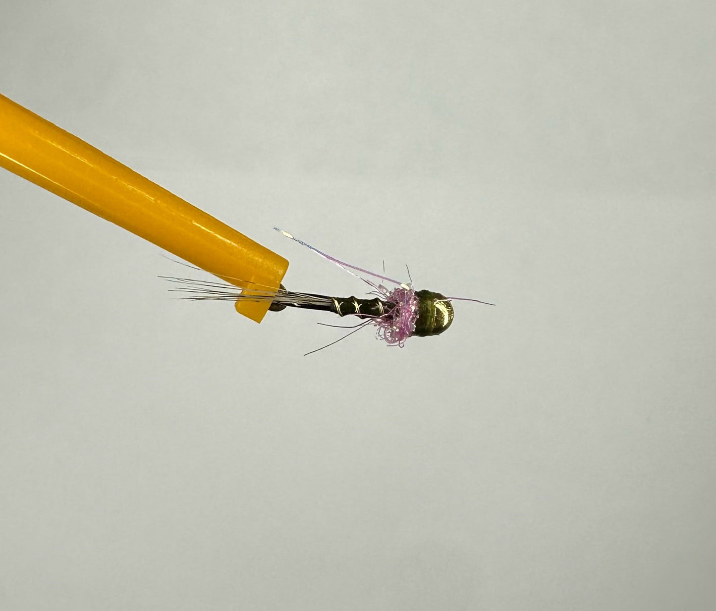 Thread Frenchie Jig - Olive