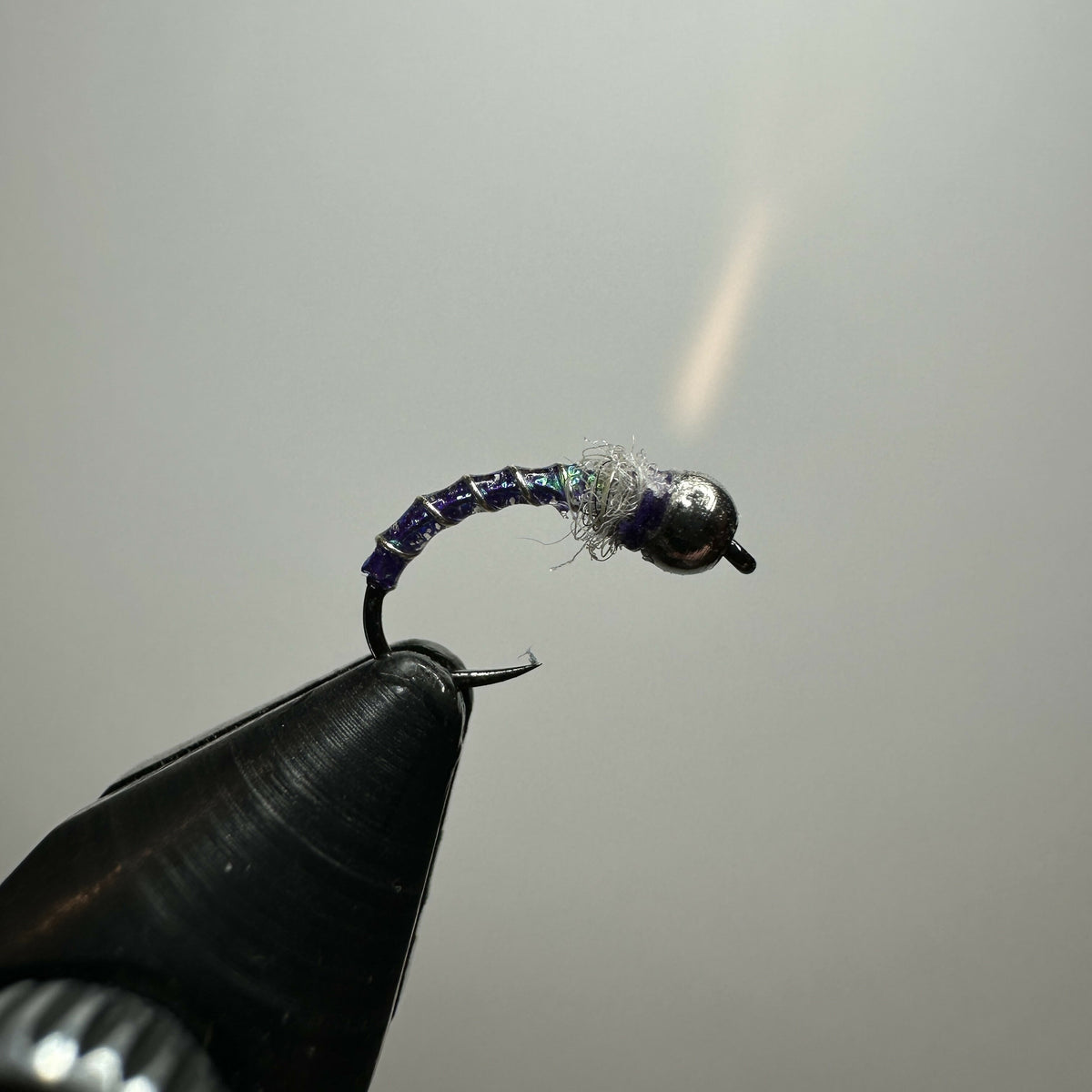 Row 4 - Midge Larvae