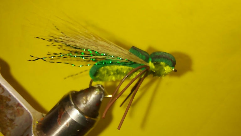 Annual Cicada