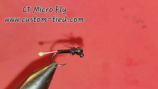 CT Micro Fly