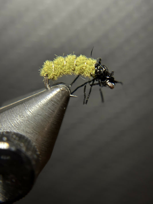 Caddis Larva aka Green Cheeseburger Olive