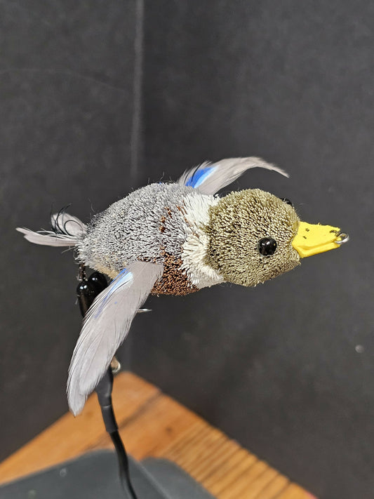 Mallard drake bass bug