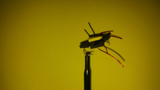 Black Foam Spider
