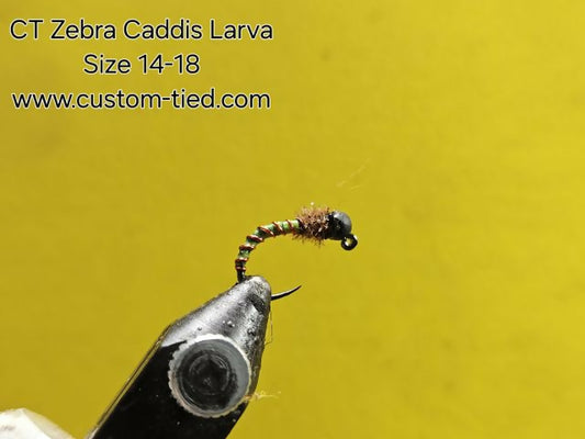 CT Zebra Caddis Larva