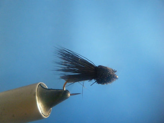 Letort Cricket