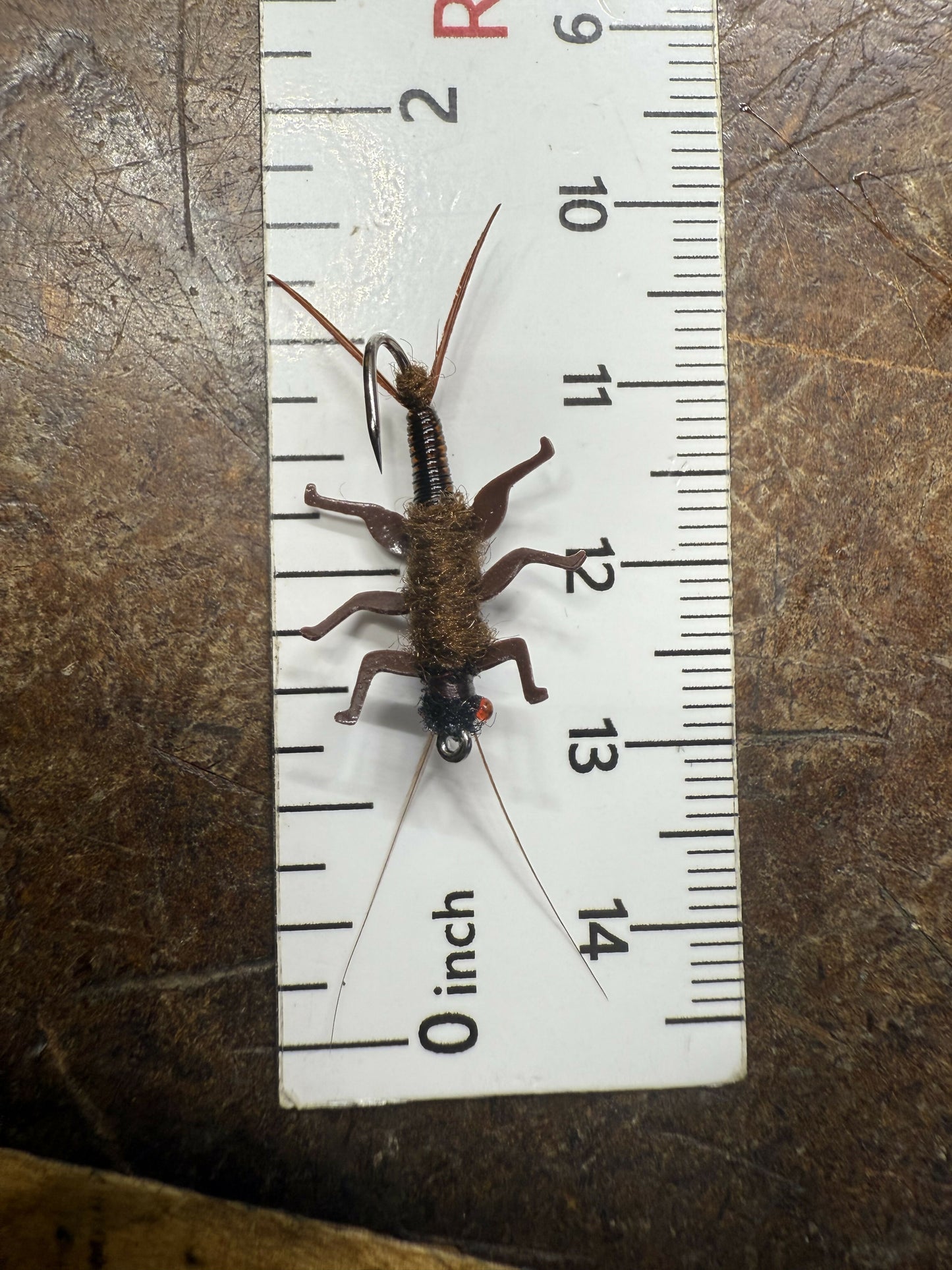 Salmon fly nymph