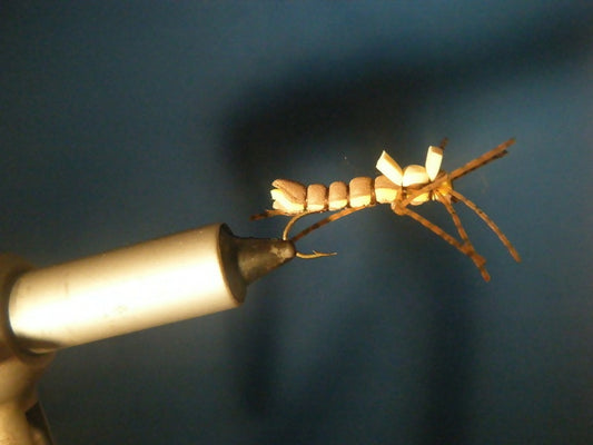 Brown Foam Hopper Size 6