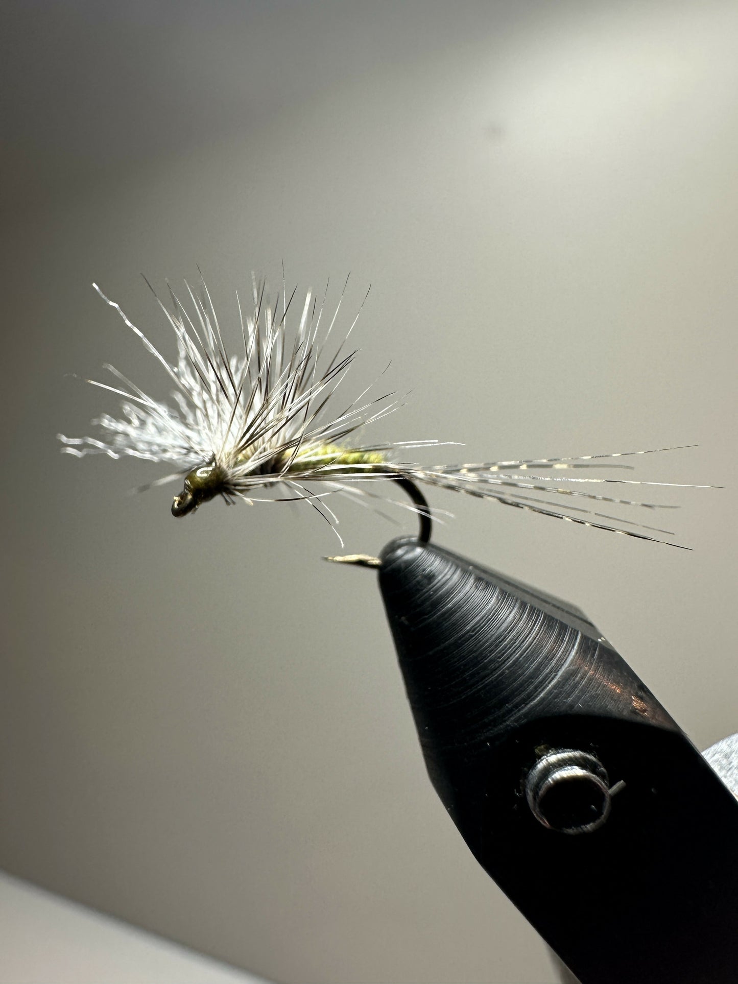 14 Gallop Bent Cripple - BWO