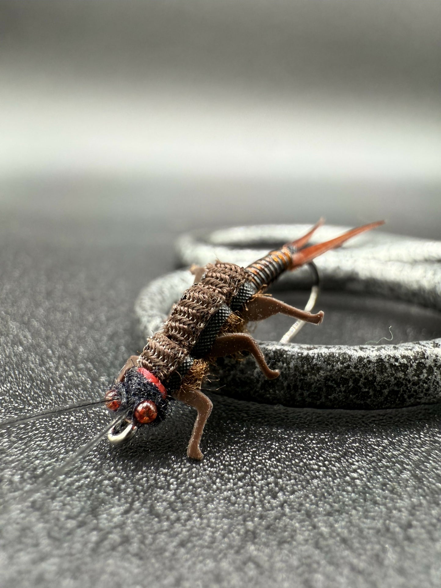 Salmon fly nymph