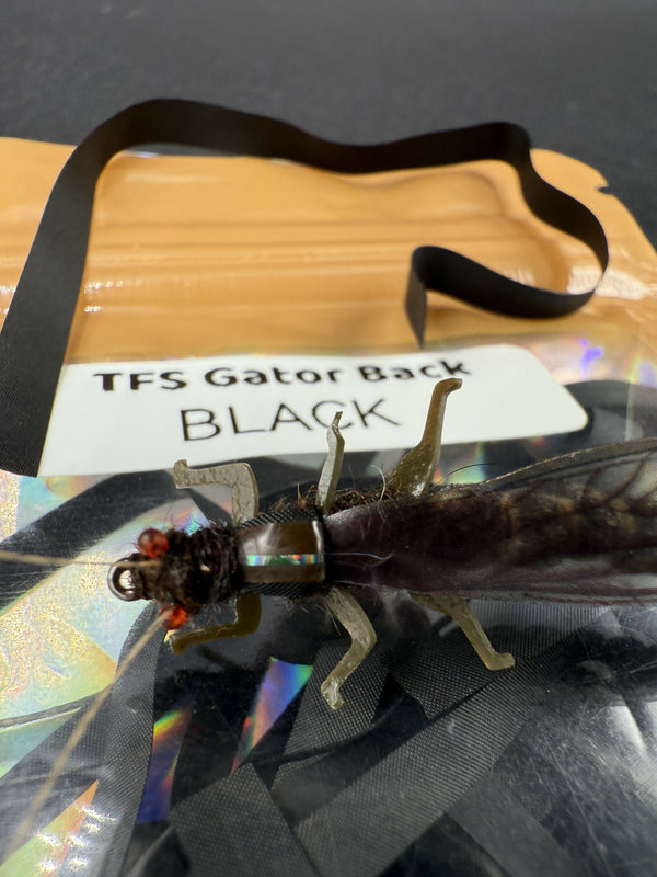 EFB Stone Black Variant