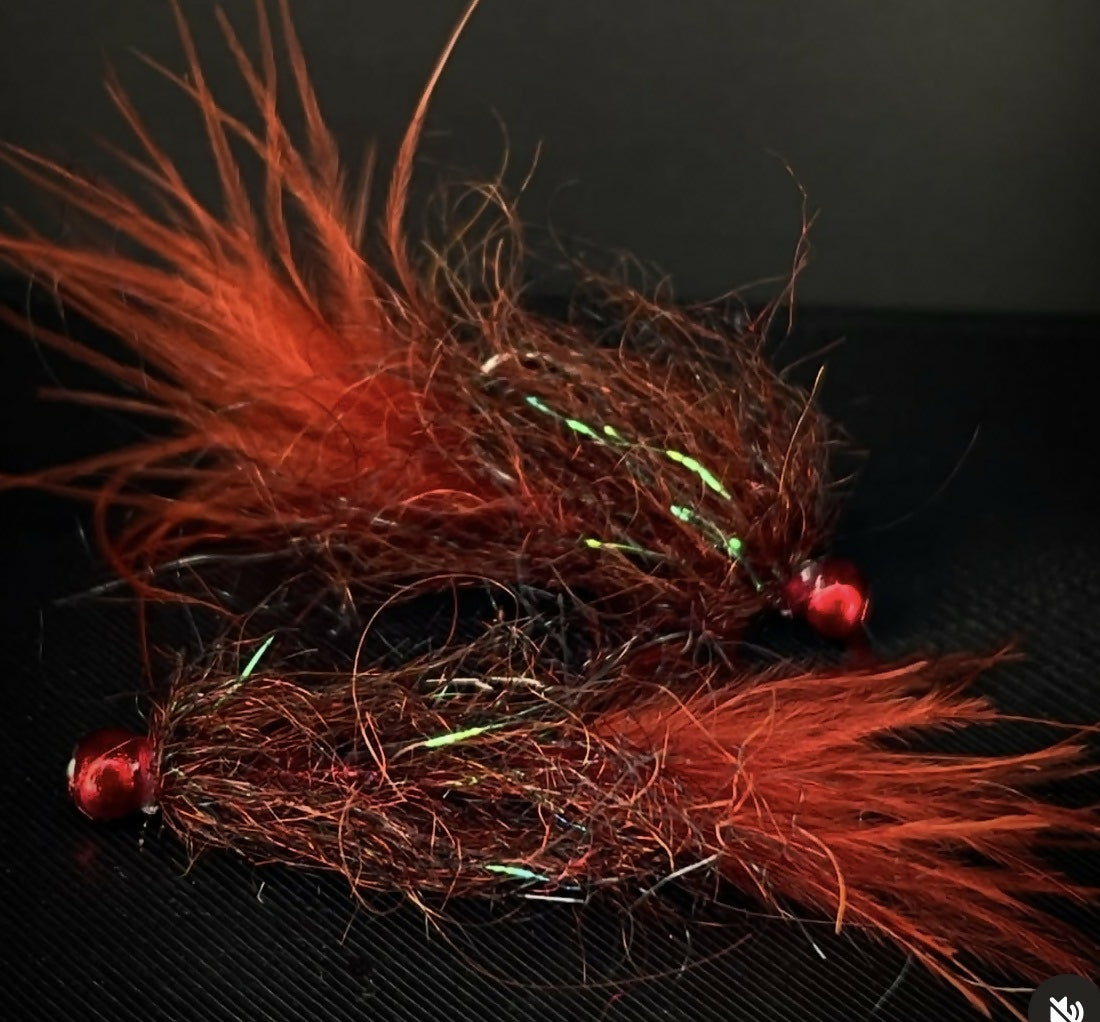 Black and Bloody Redhead Leech