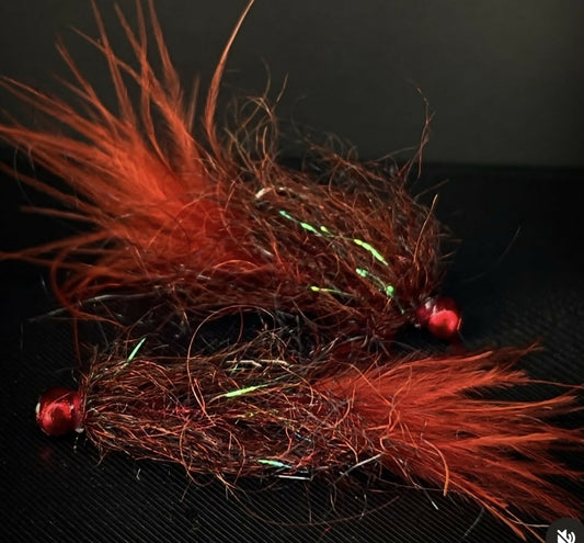 Black and Bloody Redhead Leech