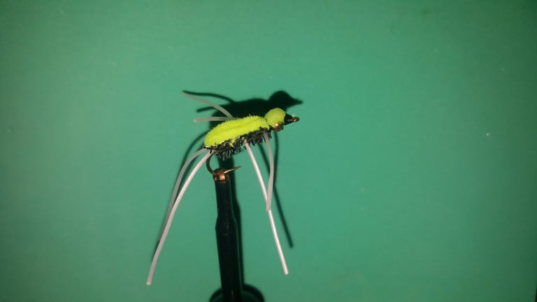 Peacock and Chartreuse Sinking Spider