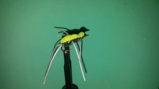 Peacock and Chartreuse Sinking Spider