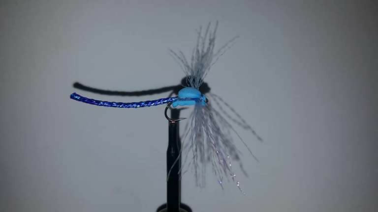 Ext Body Blue Damsel Size 8