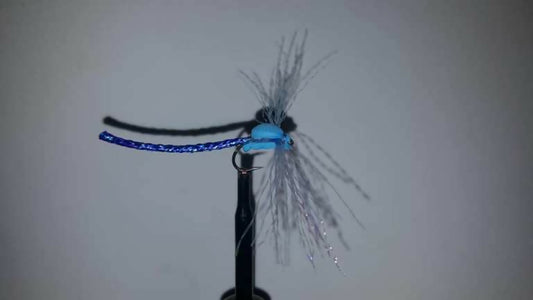 Ext Body Blue Damsel Size 8