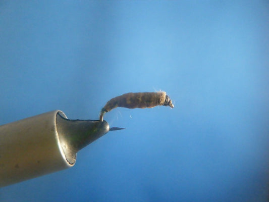 Grub