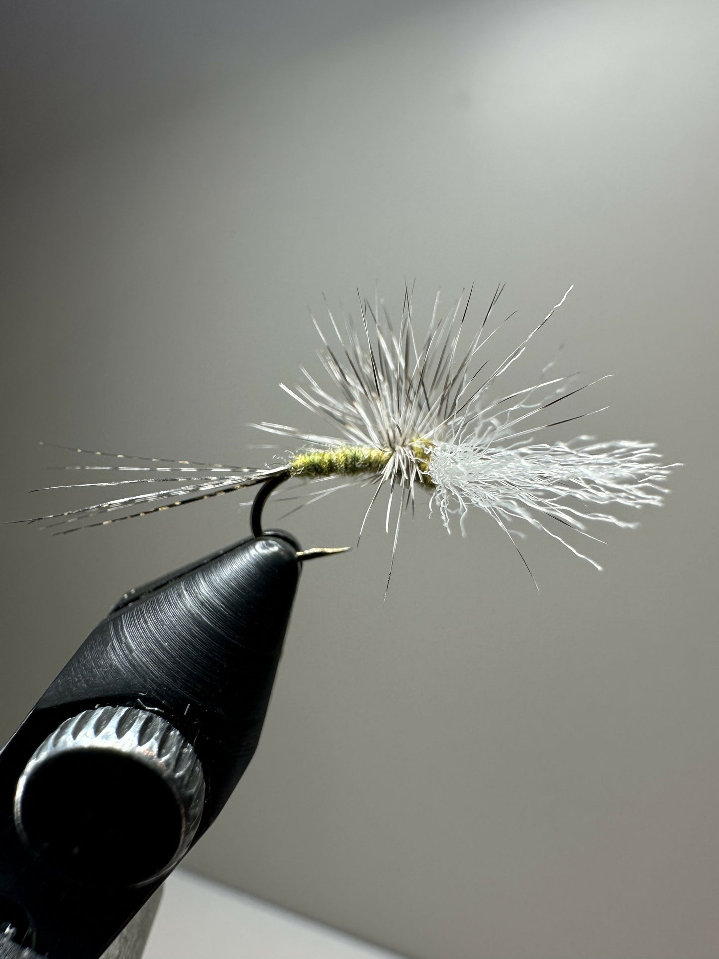 14 Gallop Bent Cripple - BWO
