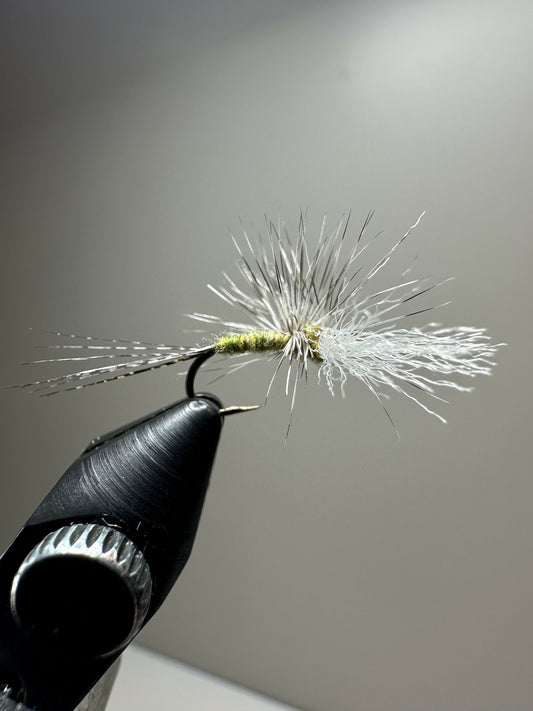 14 Gallop Bent Cripple - BWO