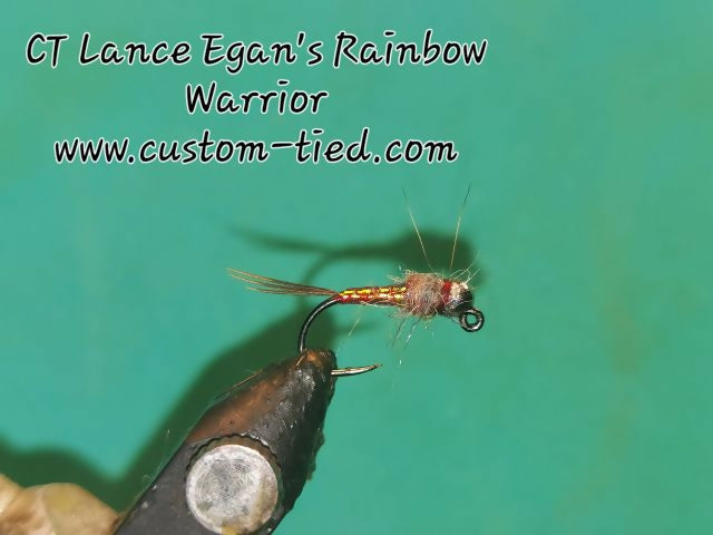 CT Lance Egan Rainbow Warrior