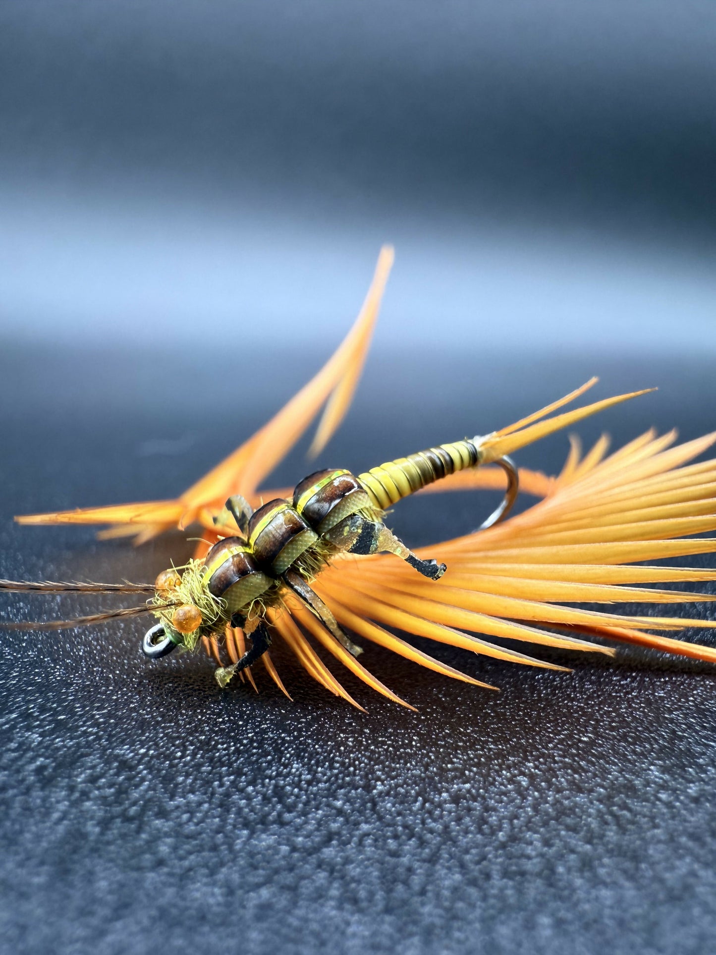 Golden Stone Nymph- Variant 1