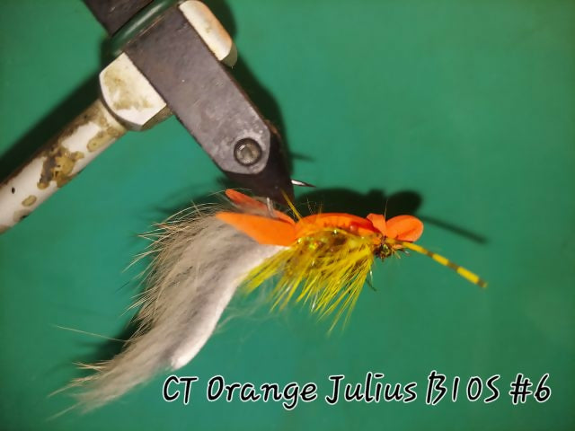 Orange Julius B10S Size 6