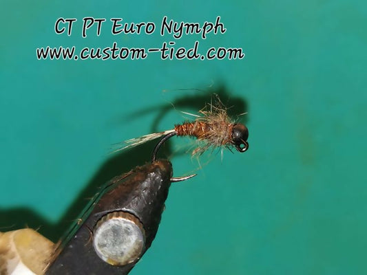 CT PT Euro Nymph