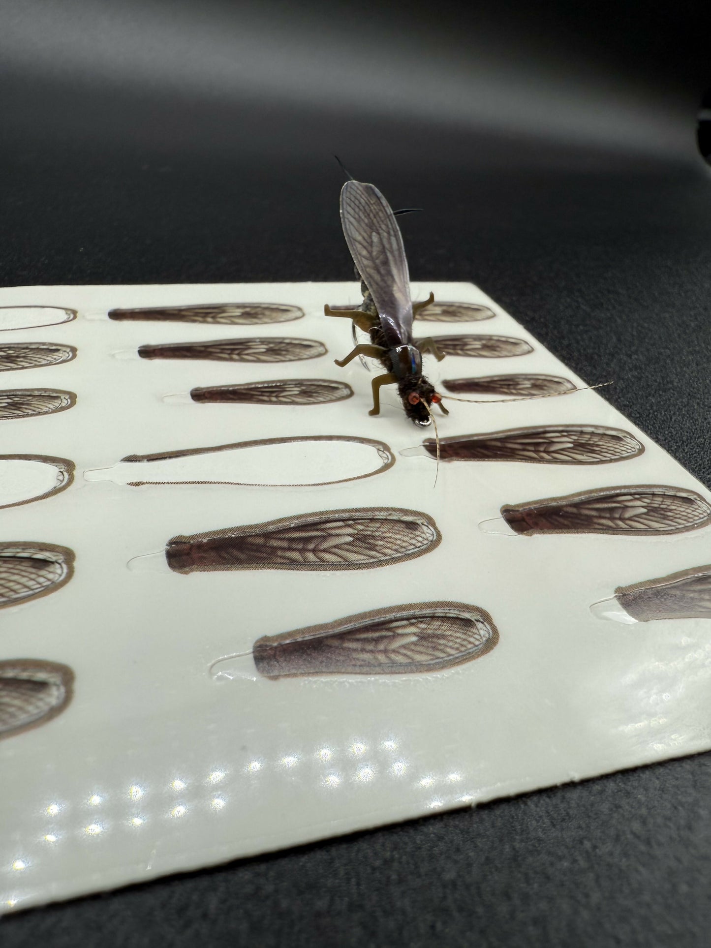 EFB Stone Black Variant