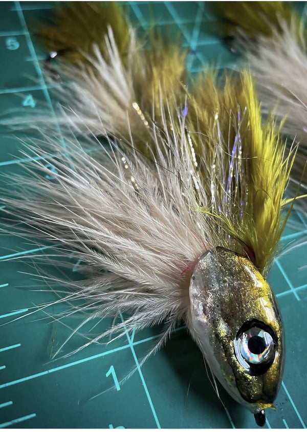 Articulated Tui Chub Juvenile