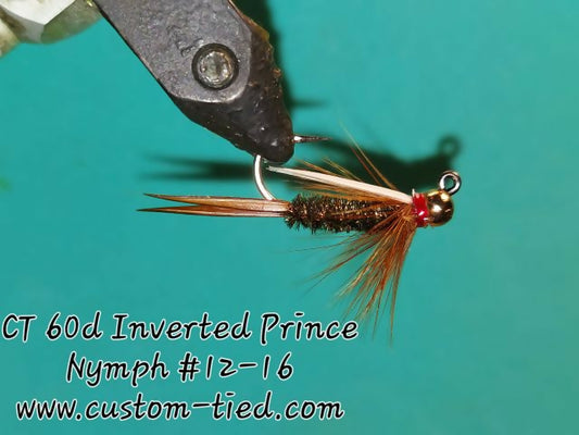 CT 60d Inverted Prince Nymph