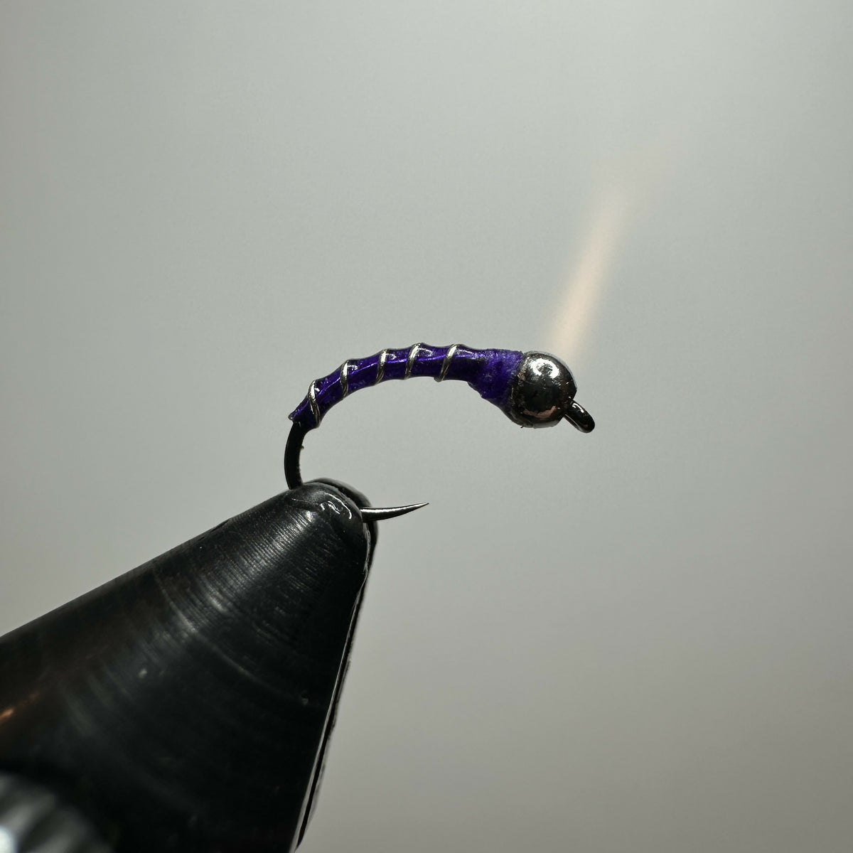 Row 6 - Zebra Midge