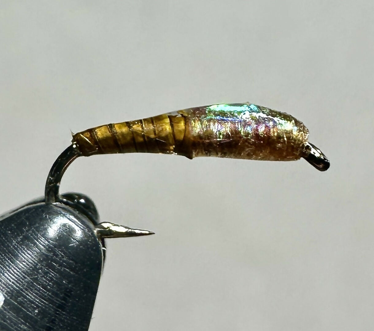 Micro Midge Larva 20