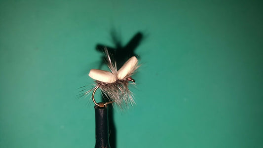 Tan Foam Spider Size 12
