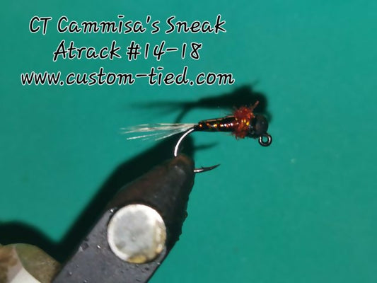 CT Cammisa Sneak Attack