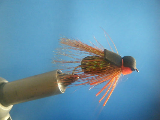 Periodic Cicada