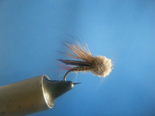 Letort Hopper